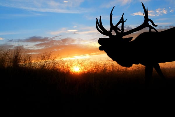 Lodge Dues Must be Paid by March 31st