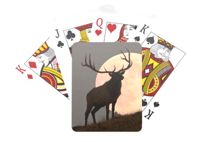 Queen of Hearts
