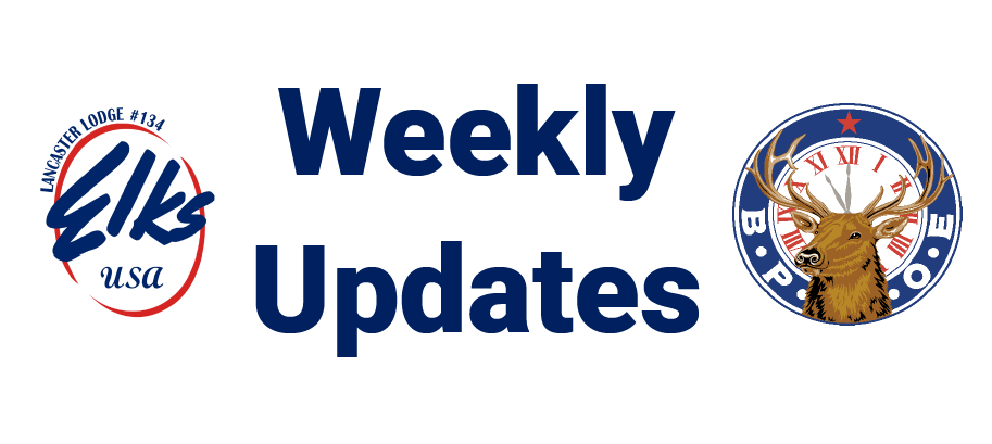 Weekly Updates 3/13